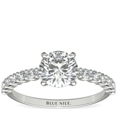 Petite Luna Diamond Engagement Ring in 14k White Gold (1/3 ct. tw.) 